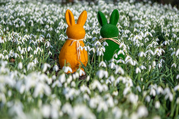 Yellow color artificial Easter bunny stands among snowdrop flowers. Shallow focus and large copy space.