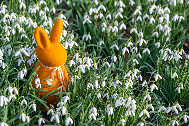Yellow color artificial Easter bunny stands among snowdrop flowers. Shallow focus and large copy space.