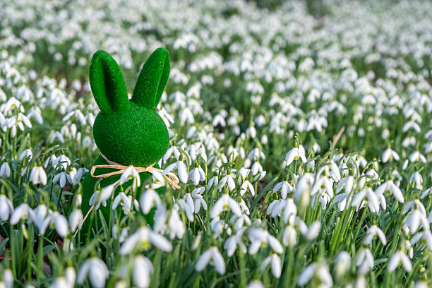 Green color artificial Easter bunny stands among snowdrop flowers. Shallow focus and large copy space.