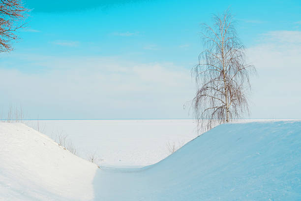 Deep white snow blankets the serene winter landscape, with a lone birch tree under a bright sky.