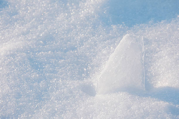 The transparent ice fragment catches the sunlight, creating beautiful reflections in the pristine snow.