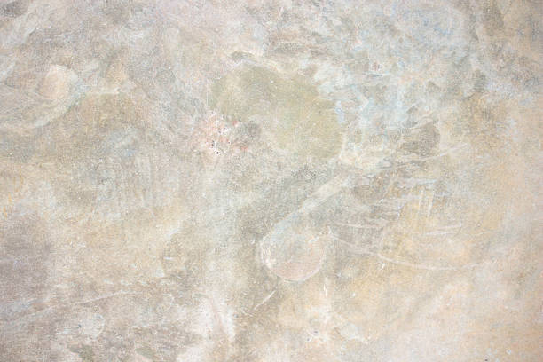 Concrete wall texture background. Close up retro plain cream color cement wall background texture.