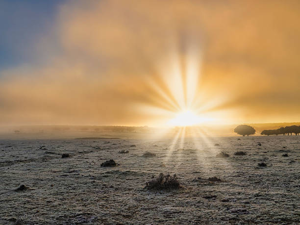 Vibrant sunrise over a meadow landscape on a winter morning