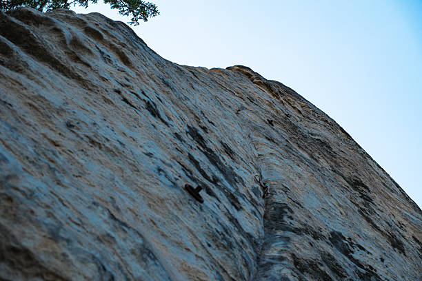 Golden October wall