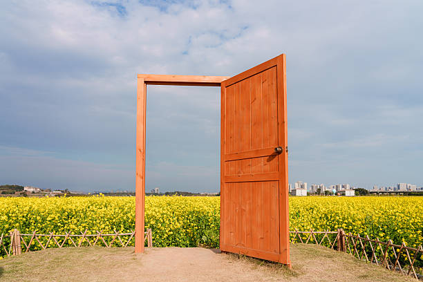 Door on the rapeseed field