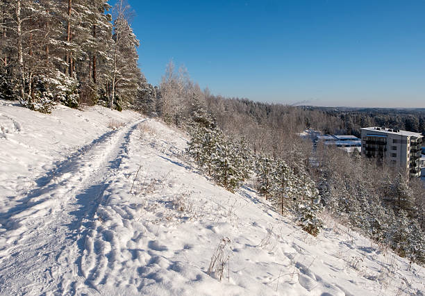 Winter landscape, a hill with trees and a walking path in the snow.