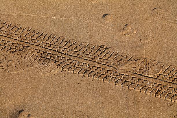 Two different forms of bike tracks on wet, golden sand