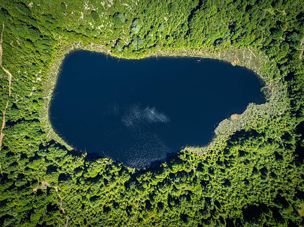Top-down aerial view of dark blue mountain lake encircled by dense green forest in Patagonia Chile. Minimalist natural landscape representing remote wilderness and pristine environments.