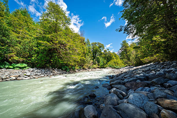 Rural natural scenery under the blue sky