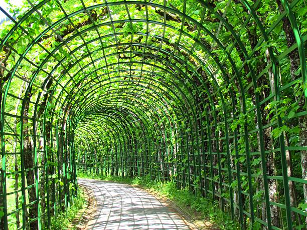 Arched garden flower rack shed corridor  in sunshine