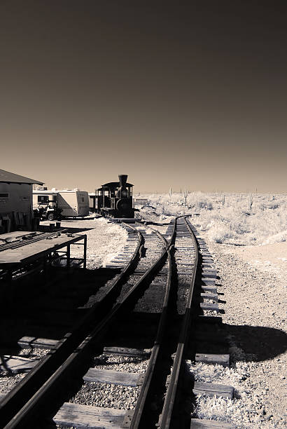 Goldfield Arizona, Restored Desert Mining Ghost Town sepia toned