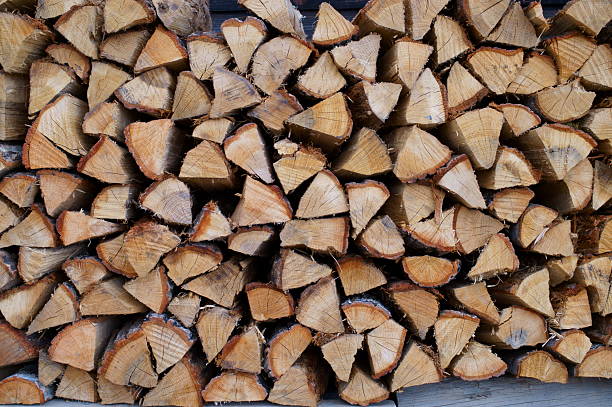 group of stacked firewood ready for fireplace fire