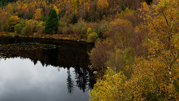 A bright, autumnal HDR image of the River Foyers as it meanders down to Loch Ness at Foyers in the Highlands of Scotland