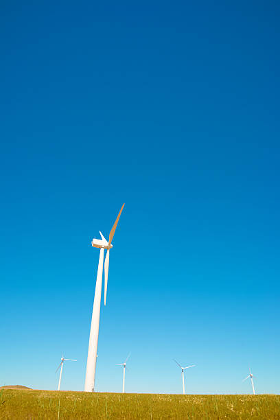 Wind turbine generators for renewable electrical energy production