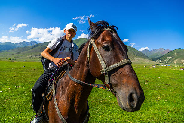 Young man rides a brown horse in a vast green meadow. Clear blue sky and distant mountains create a serene, adventurous atmosphere. Semenovskoye Gorge, Kyrgyzstan - July 17 2024