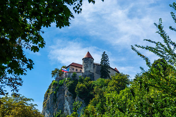Bled, Slovenia - August 2025: A majestic view of the medieval Bled Castle (Blejski grad) situated on a steep cliff in Slovenia. The Slovenian national flag is seen flying from the fortress walls. The image is naturally framed by vibrant green leaves in the foreground against a bright blue sky with wispy clouds.