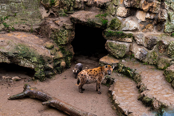 Winter Keepers of Belgrade Zoo