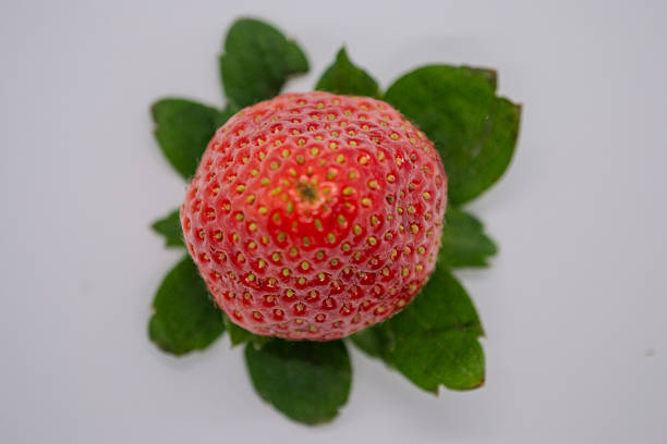 Studio shot of a single fresh strawberry captured from multiple angles on light and dark backgrounds. The image emphasizes freshness, natural detail, and realistic texture, suitable for commercial food photography, marketing materials, and digital design.