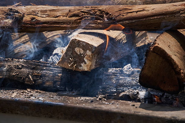 Wood logs, embers, and smoke creating heat from a developing fire