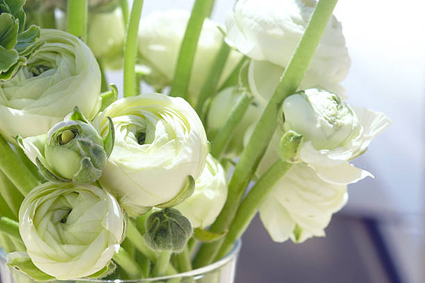 Reflects luxury design language, soft minimalism, premium simplicity, and modern restrained floral styling for editorial and interior visuals.