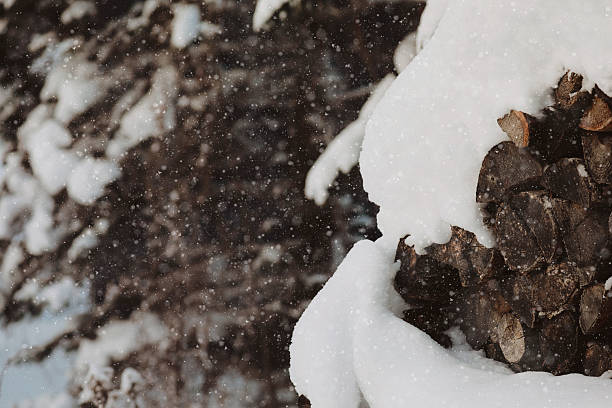 A close-up image of a stack of cut logs in winter.
