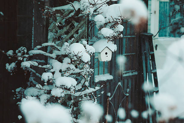 Winter festive alley in a city park, decorated with New Year's decorations. Metal decorative cages with Christmas balls, covered with snow, are placed along the snowy path. Atmosphere of comfort