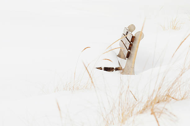 A park bench and marram grasses poking through the snow at a beach. Shot with a Canon 5D Mark IV.