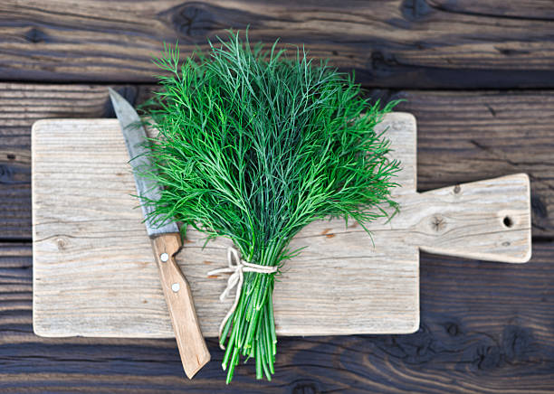 Fresh dill bunch tied with string on wooden cutting board. Organic herbs for cooking preparation. Flat lay, top view