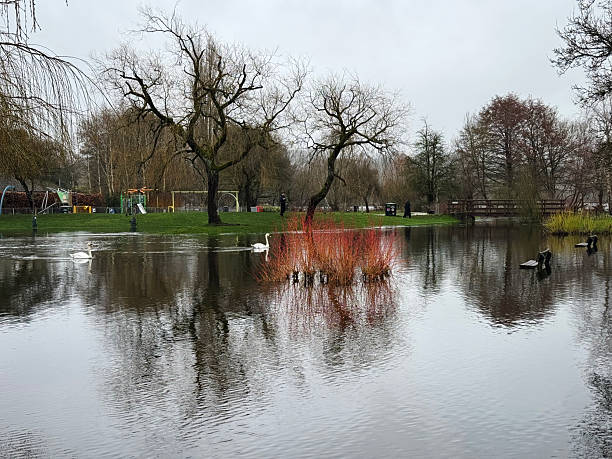Flooding in Elizabeth Gardens in Salisbury, Wiltshire, after weeks of heavy rain in the winter of 2026
