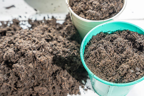 Pots filled with fresh soil prepared for planting on a white surface. The image shows gardening preparation and home cultivation.