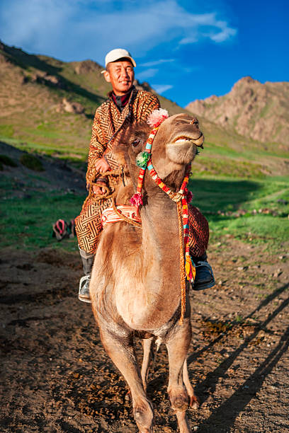 A smiling man in a patterned robe and cap sits astride a colorfully adorned camel, the animal lifting its head and showing its teeth. They stand in a green valley framed by rocky hills under a vivid blue sky, bathed in warm golden light. The scene captures a lively, close-up moment of traditional mounted life against a dramatic mountain backdrop.