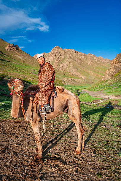A man wearing a patterned traditional robe and a white cap sits astride a decorated camel in a sunlit mountain valley. Colorful tassels and a simple saddle adorn the camel, whose shaggy coat and expressive face are highlighted by warm golden-hour light. Rugged rocky ridges and green meadows stretch into the background beneath a clear deep-blue sky, with a faint path and stream winding through the valley, conveying a quiet, remote pastoral scene.