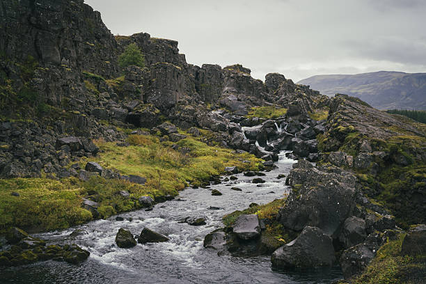 A rugged volcanic landscape in Thingvellir National Park, featuring a rocky stream flowing through steep cliffs covered in moss and green vegetation. The dramatic terrain and overcast sky create a powerful atmosphere, showcasing the raw beauty and geological significance of this iconic Icelandic location. Ideal for themes of nature, wilderness, geology, adventure, and Nordic landscapes.