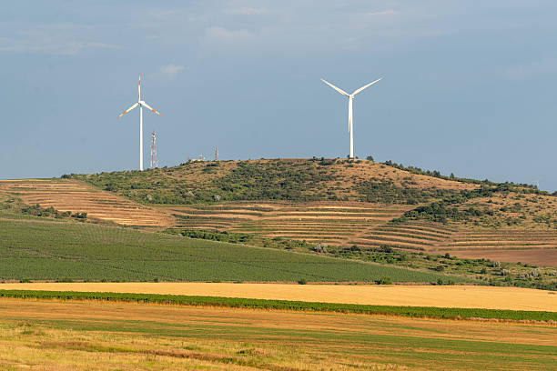 Two wind turbines are located on a hill surrounded by fields. The land features rows of crops and different textures. The sky is clear, indicating a sunny day.