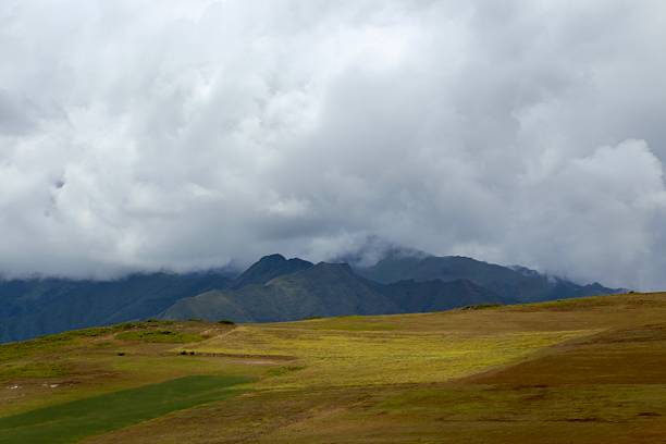 Sheep,Grazing, livestock, farm animals, Andes, agriculture , South America ,Peru
