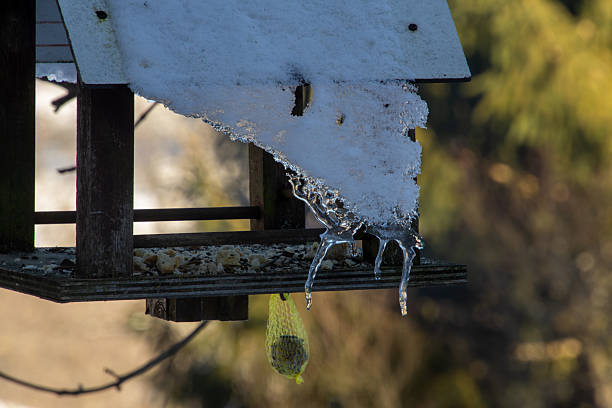 Melting ice on the snow-capped birdhouse. Handmade birdhouse with bird seed to help the birds through the winter.