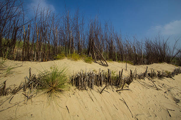 Seascape view on the beach and dune landscape in Vlissingen, Zeeland in the autumn season.