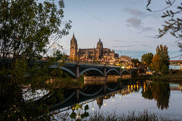 Historic skyline of Salamanca in Castilla y León, Spain, featuring cathedral towers, bridges over the Tormes River and classic medieval architecture. Images highlight cultural heritage, historic travel destinations and traditional Spanish urban landscapes suitable for tourism, editorial and cultural storytelling.