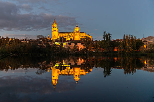 Historic skyline of Salamanca in Castilla y León, Spain, featuring cathedral towers, bridges over the Tormes River and classic medieval architecture. Images highlight cultural heritage, historic travel destinations and traditional Spanish urban landscapes suitable for tourism, editorial and cultural storytelling.