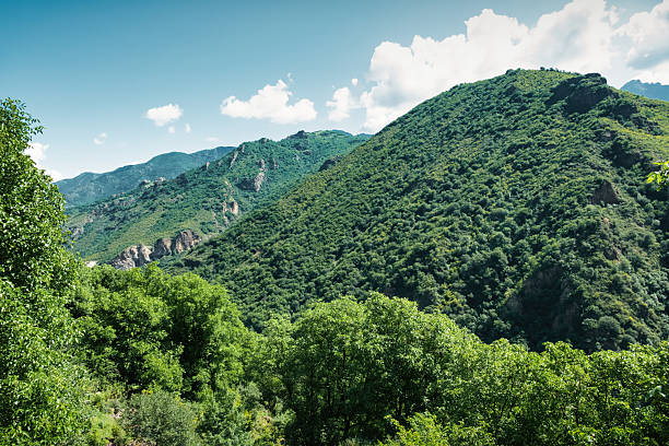 The scenic Debed Canyon near Tumanyan, Armenia.