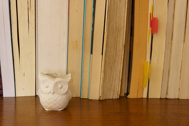 A small, off-white ceramic owl figurine with large circular eyes sits on a wooden shelf in front of a row of standing books, some of which have colorful plastic index tabs