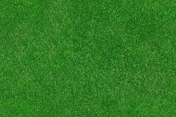 istock Grass – seamless aerial top view texture 2260981910