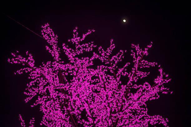 Alcorcón, Madrid. Spain. Outdoor christmas tree branches adorned with many small pink lights glowing brightly, creating a festive display against the dark night sky with a full moon