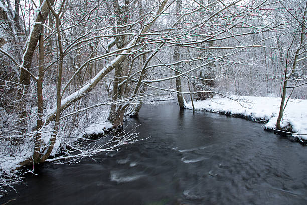 Quiet river reflecting snowy trees on a cold winter day. Concept of peaceful landscape, nature wallpaper, travel inspiration, copy space.