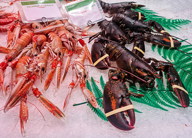 cooked red lobster isolated on white background