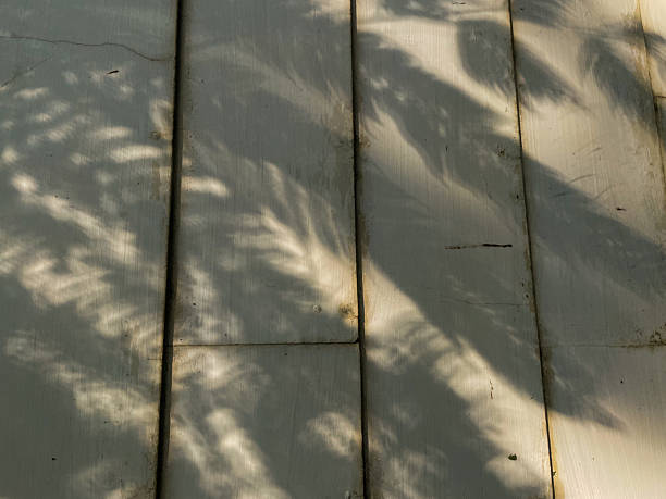 Leaves shadow on wooden floor