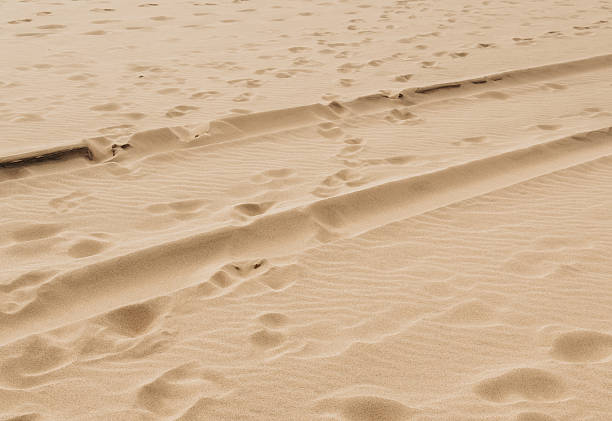 Vehicle tire tracks leading across wide sandy beach toward the sea. Concept of travel adventure, freedom, summer vacation and coastal landscape.
