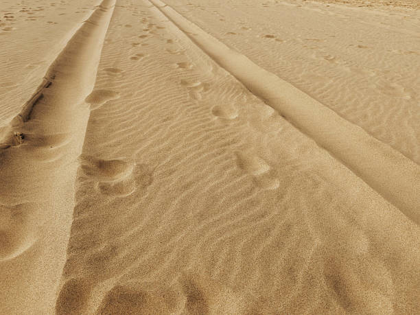 Vehicle tire tracks leading across wide sandy beach toward the sea. Concept of travel adventure, freedom, summer vacation and coastal landscape.