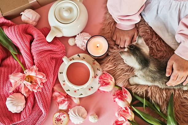A child's hands gently petting a fluffy kitten surrounded by pink tulips, marshmallows, and a lit candle, evoking a sense of comfort and tranquility