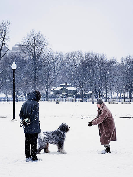 A woman plays with a dog in fresh snow while another person stands nearby in Boston Common during a winter snowfall in Boston, Massachusetts, United States.